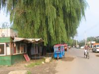 Albums/20060800-China Aug 2006/20060809-Shenyang - Guoqi Village/1